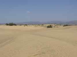 De duinen van Maspalomas