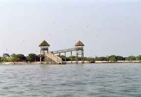 Het eiland met heel veel vogels